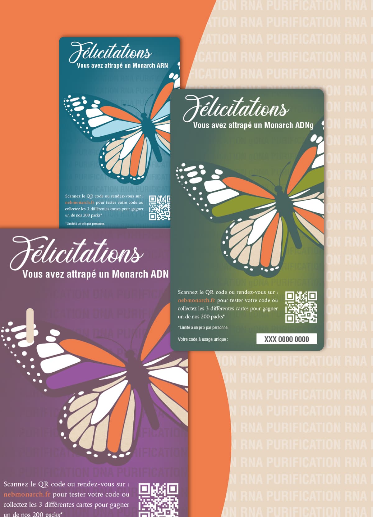 B2B Campaigns — New England Biolabs · TAEL Agency